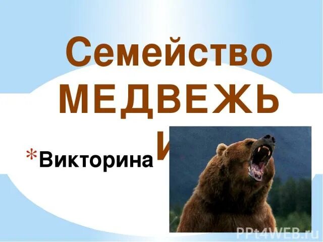 Медведь огэ