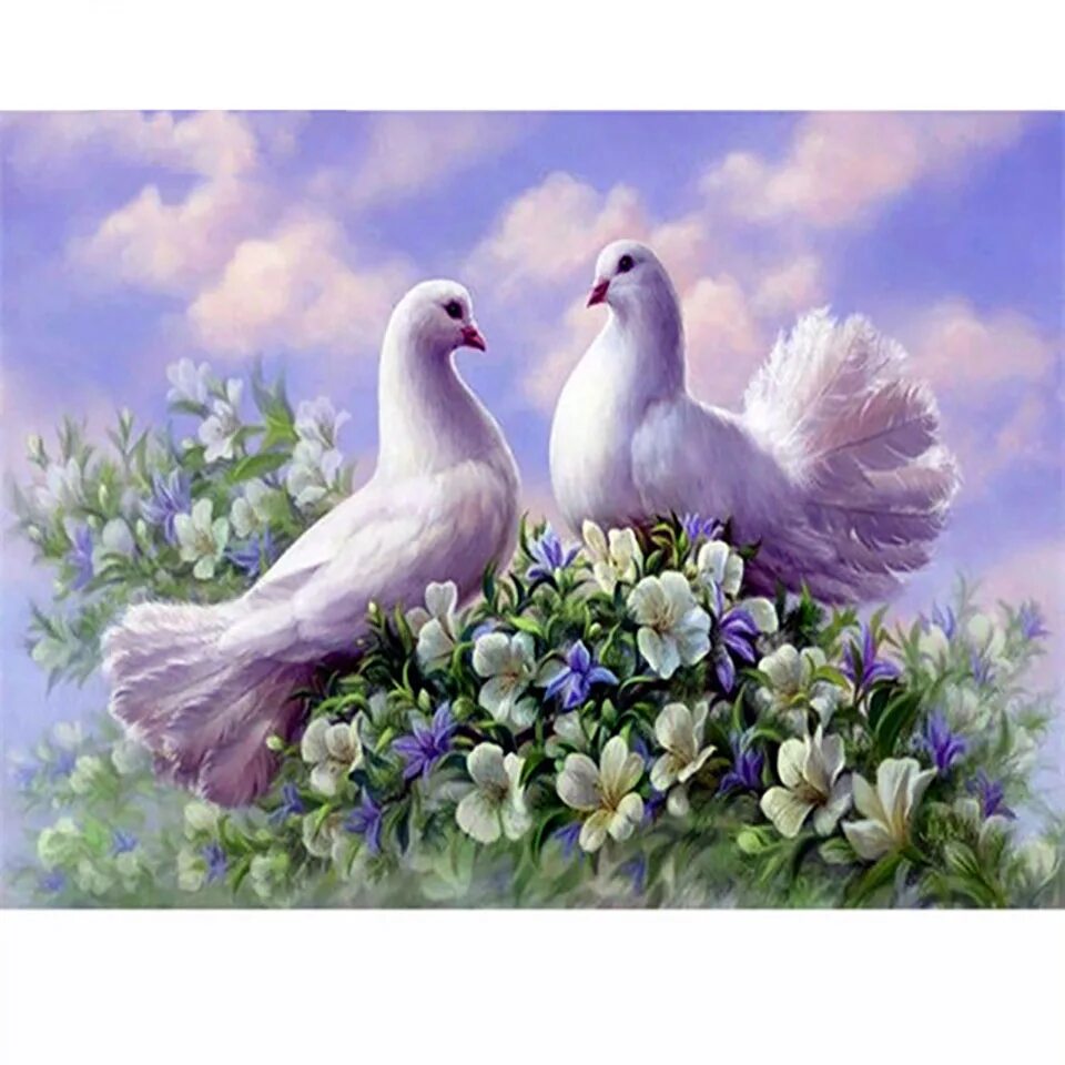 голуби на свадьбу. лебеди фото высокого разрешения. лебедей белых голубей. лебедей белых голубей. красивые лебеди.