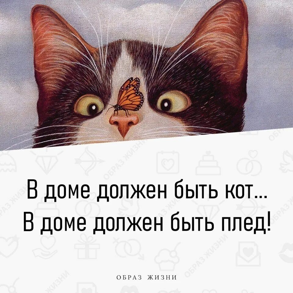 Мотиваторы позитивные смешные прикольные. Позитивный взгляд на мир. Мир другими глазами. Щенкам нужен дом. У каждого должен быть дом.