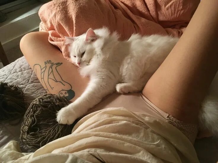 Девушка с котом на руках и голой киской между ног фото