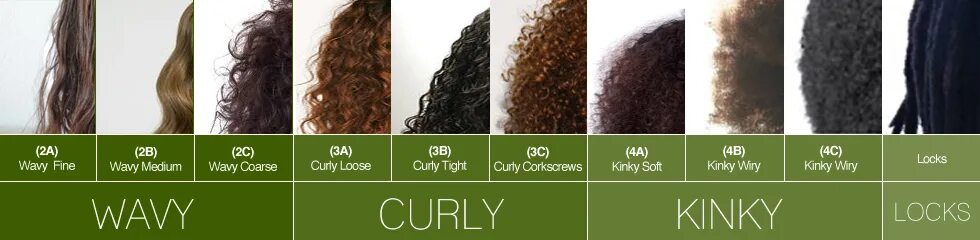 Curl content. Типы волос прямые кудрявые. Классификация завитков кудрявых волос. Типы волос кудрявые волнистые. Типы кучерявых волос.