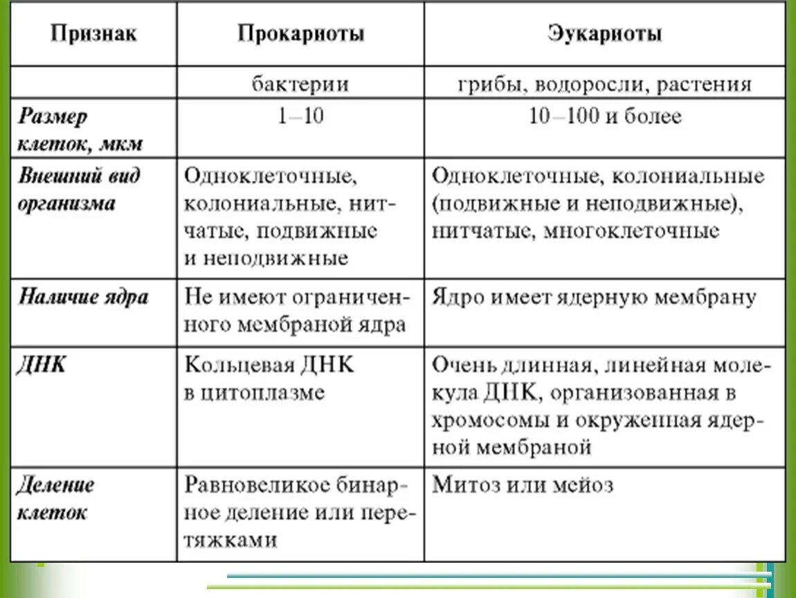 Сравнить эукариот и прокариот. Сравнительная характеристика прокариот и эукариот 5 класс. Таблица основные характеристики эукариот и прокариот. Клеточные структуры прокариоты и эукариоты. Строение клетки прокариот бактерии.