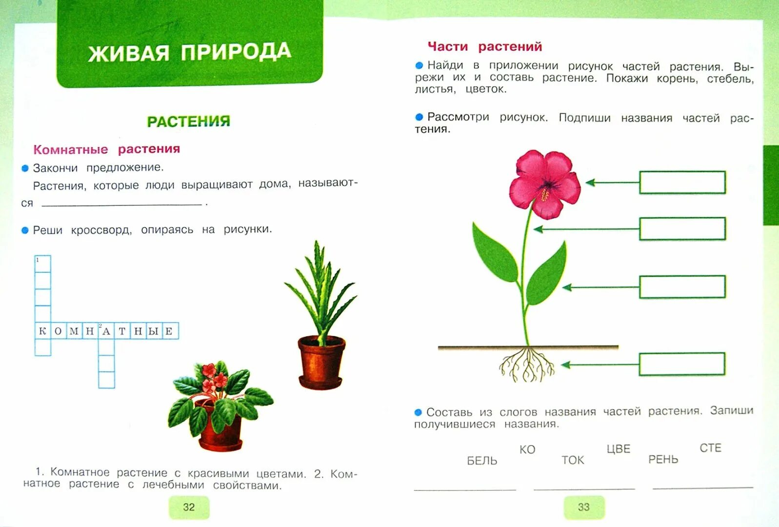 Рабочие листы человек и мир