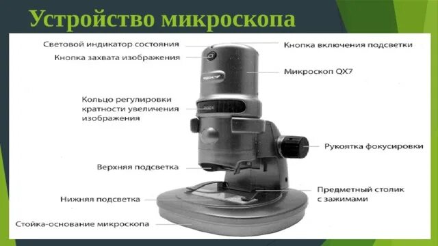Строение электронного микроскопа 5 класс биология впр. Цифровой микроскоп qx7. цифровой микроскоп qx5 строение. цифровой микроскоп qx7 строение. цифровой микроскоп биология 5 класс.