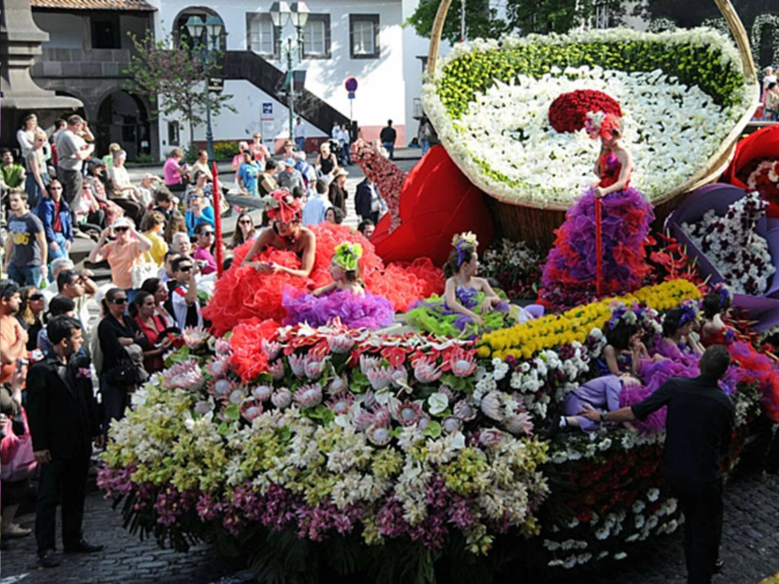 День фестиваля цветов. Фестиваль цветов на Мадейре. Мадейра Португалия фестиваль цветов. Фестиваль Коломбо Португалия. Фестивали в Португалии.