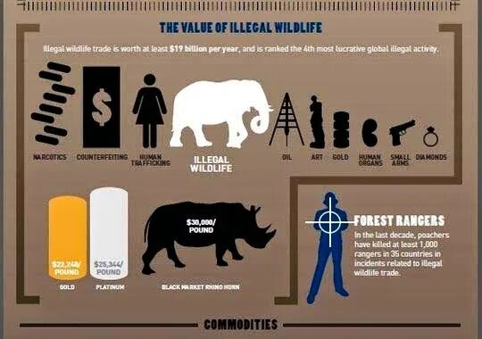 Value is illegal. Illegal wildlife trade. wildlife organisations. due to factors such as poaching and climate change many animals are fighting for. restriction of hunting and punishment for poaching.