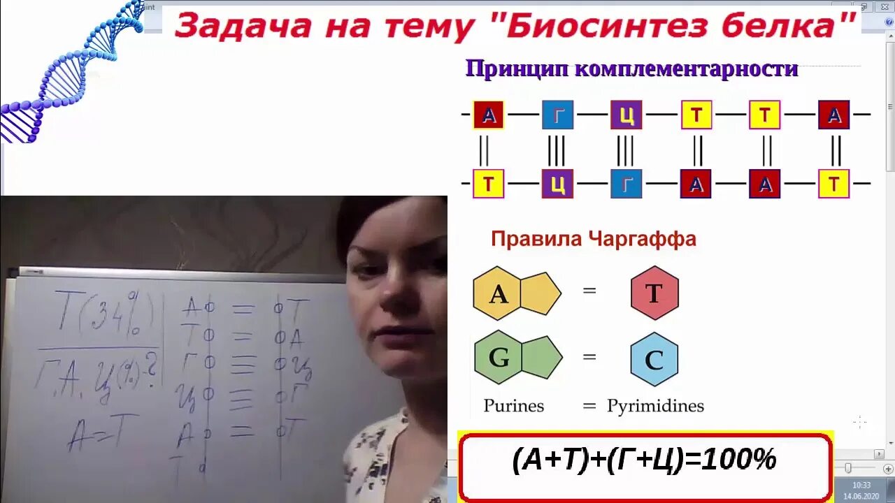 Егэ биология задачи на биосинтез. Задачи на Биосинтез белка биология. Задачи на Биосинтез белка ЕГЭ. Решение задач по биологии Синтез белка. Задачи на Биосинтез белка ЕГЭ биология.