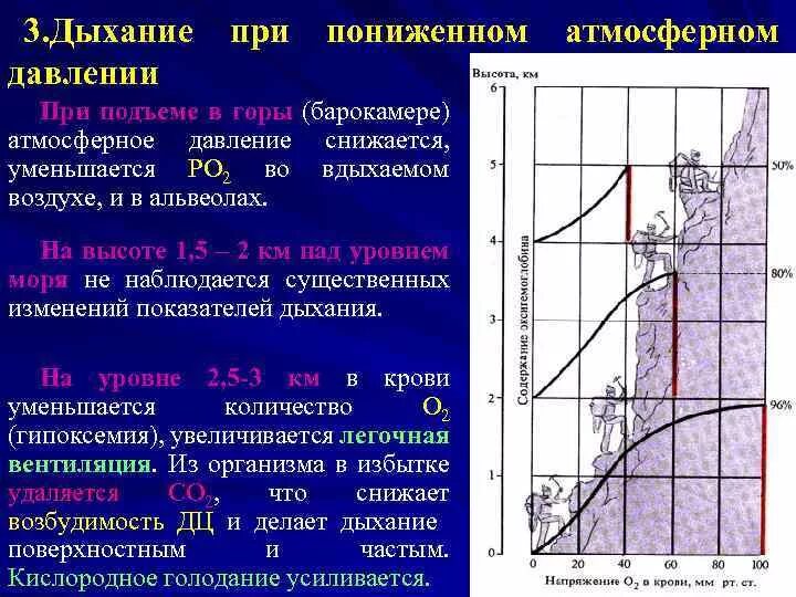 Дыхание при пониженном атмосферном давлении. Дыхание при понижении атмосферного давления. Дыхание при пониженном атмосферном давлении физиология. Дыхание при пониженном барометрическом давлении.