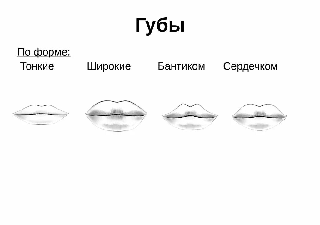 Формы губ. Виды губ. Формы женских губ. Разновидности форм губ. Как отличить губы