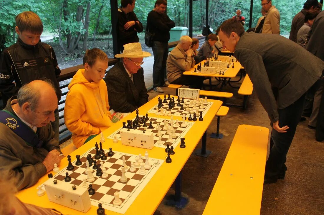 томас доусон шахматы. владимир шашорин шахматы. где поиграть в шахматы. где поиграть в шахматы. шахматы люди.