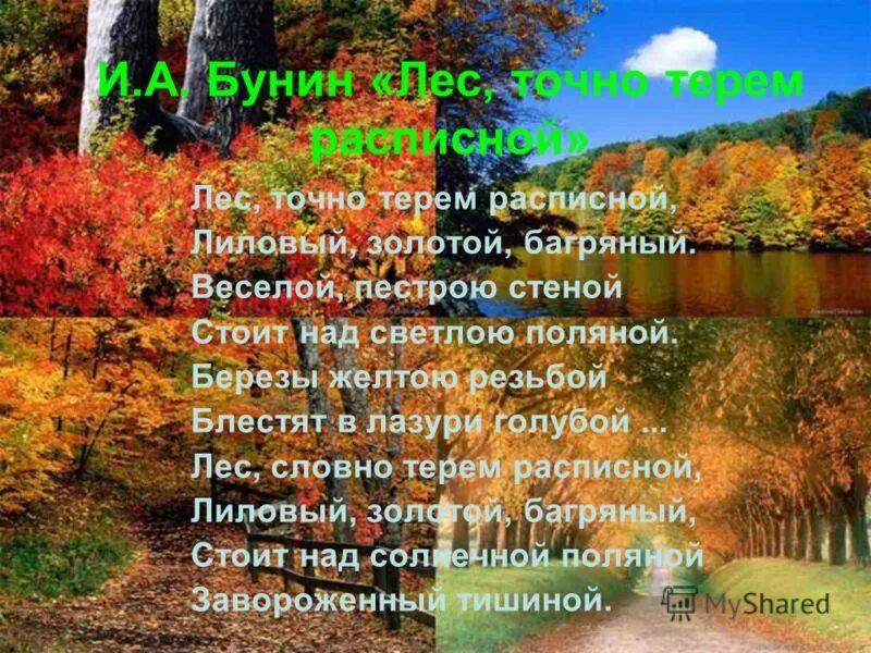 Лес точно терем лиловый золотой багряный. Лес терем расписной стих. Бунин лес багряный золотой. Лиловый золотой. Лес точно терем расписной стих.