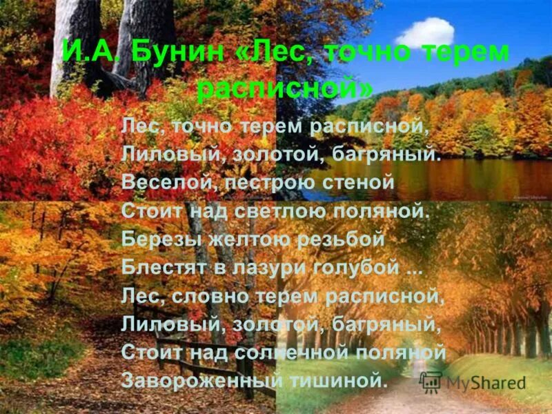 Веселой пестрою стеной. Бунин лес точно расписной. Бунин лес точно Терем расписной. Лес точно Терем расписной лиловый золотой багряный. Бунин Золотая осень стих.