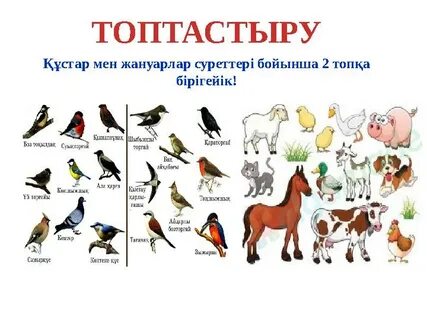 Оны менің мысыма кім салады?