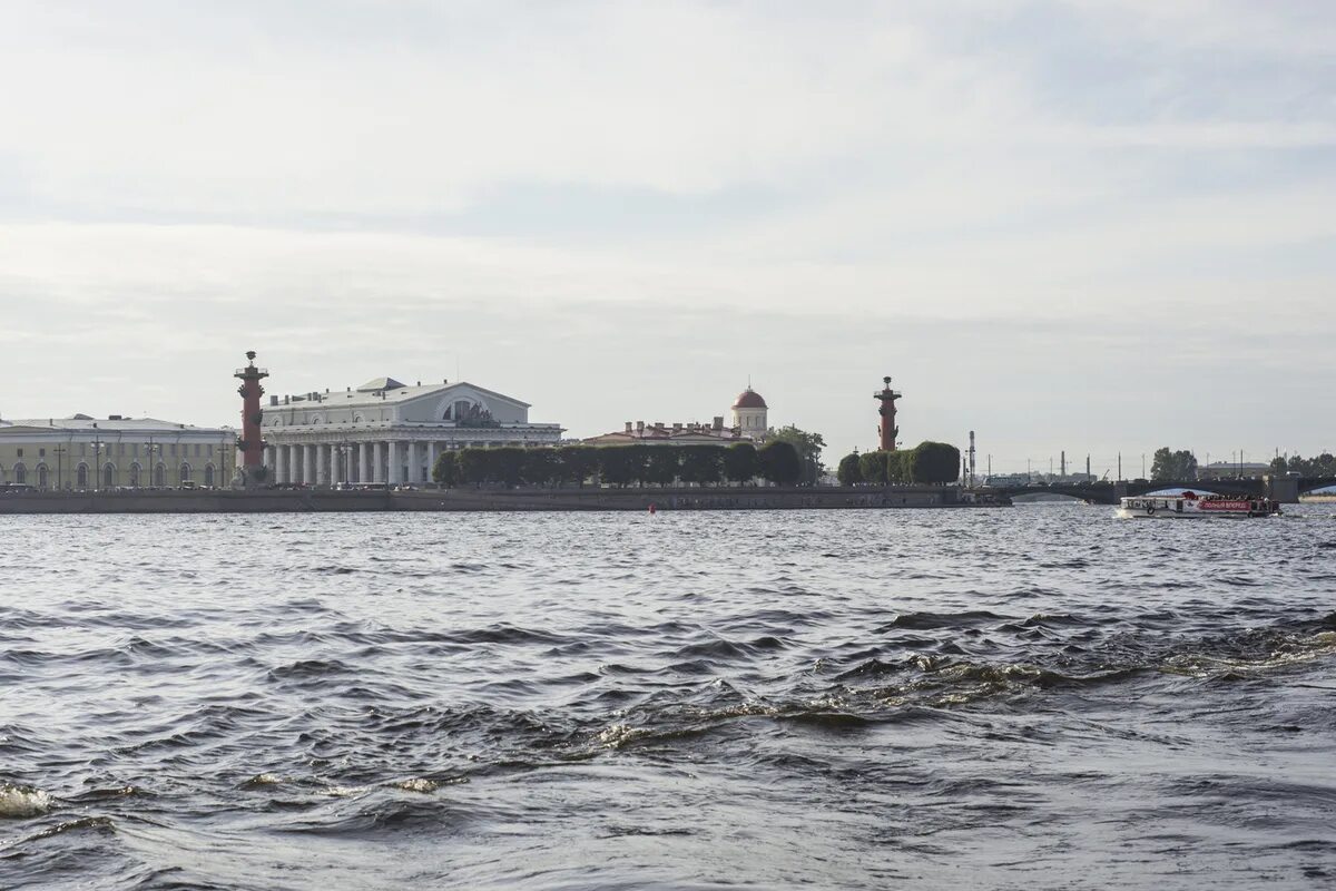 Погода в санкт петербурге васильевский. Набережная невы васильевский остров. Погода в санкт петербурге васильевский. Стрелка васильевского острова ростральные колонны. Ленинград васильевский остров.