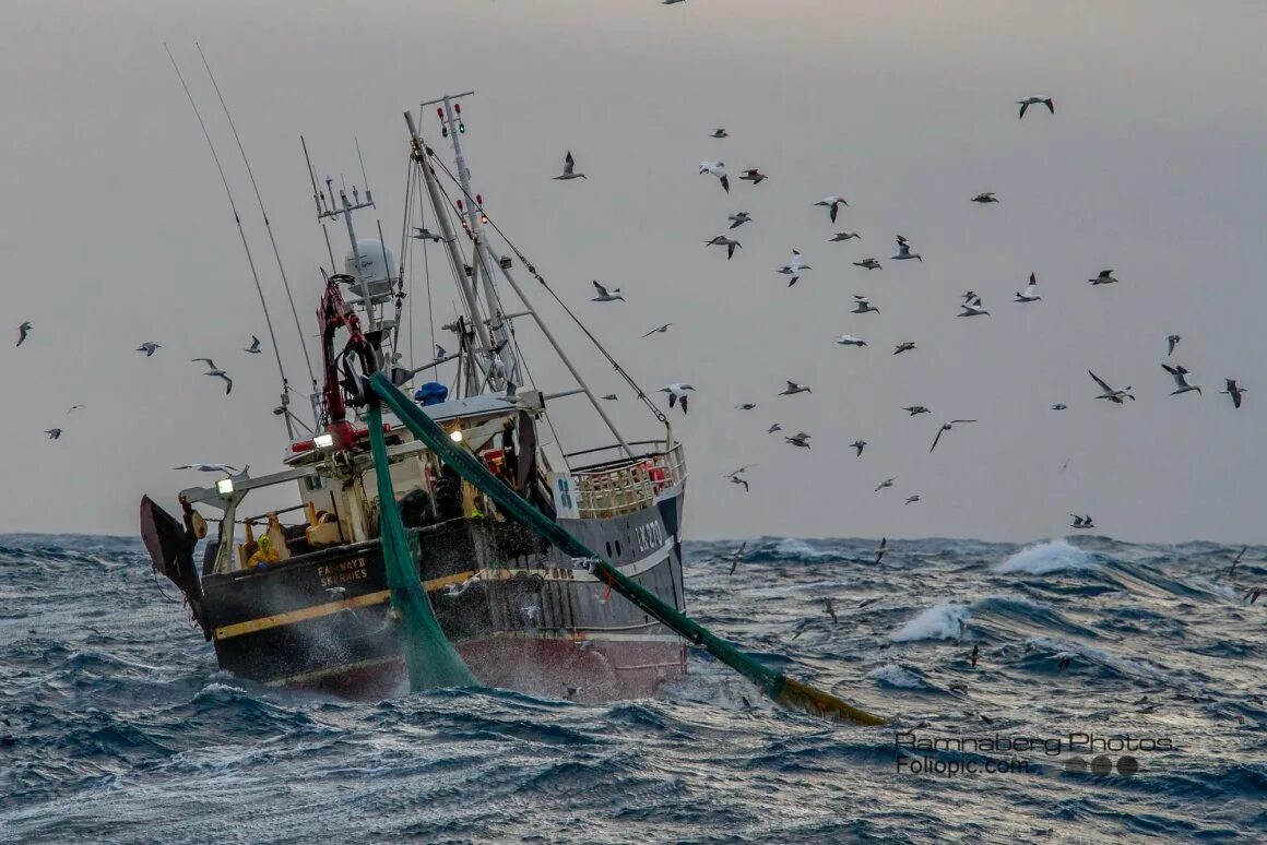 Промысел рыбы. Морской промысел. Ловля рыбы в океане. Добыча рыбы в море. Прибрежный лов