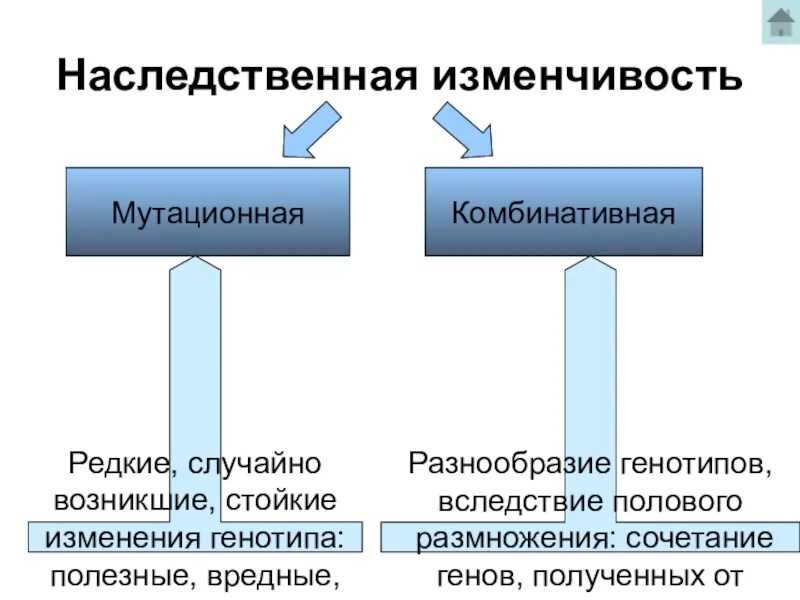 В результате изменения генотипа. Мутационная и комбинативная. Комбинативная наследственная изменчивость. Наследственная изменчивость комбинативная причины. Комбинативная форма наследственной изменчивости.