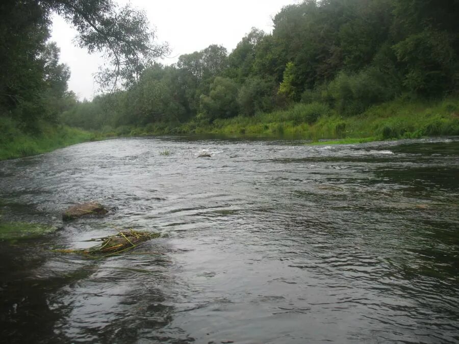 Вода в западной двине