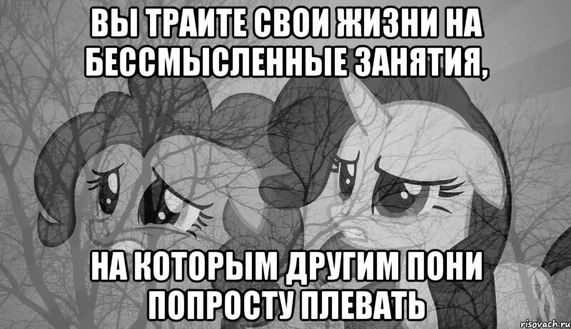 всем спокойной ночи я спать. мотивационные фразы. пусть жизнь идет своим чередом. смешные фразы про спокойной ночи. цитаты про ночь смешные.