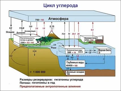 Экосистема атмосфера