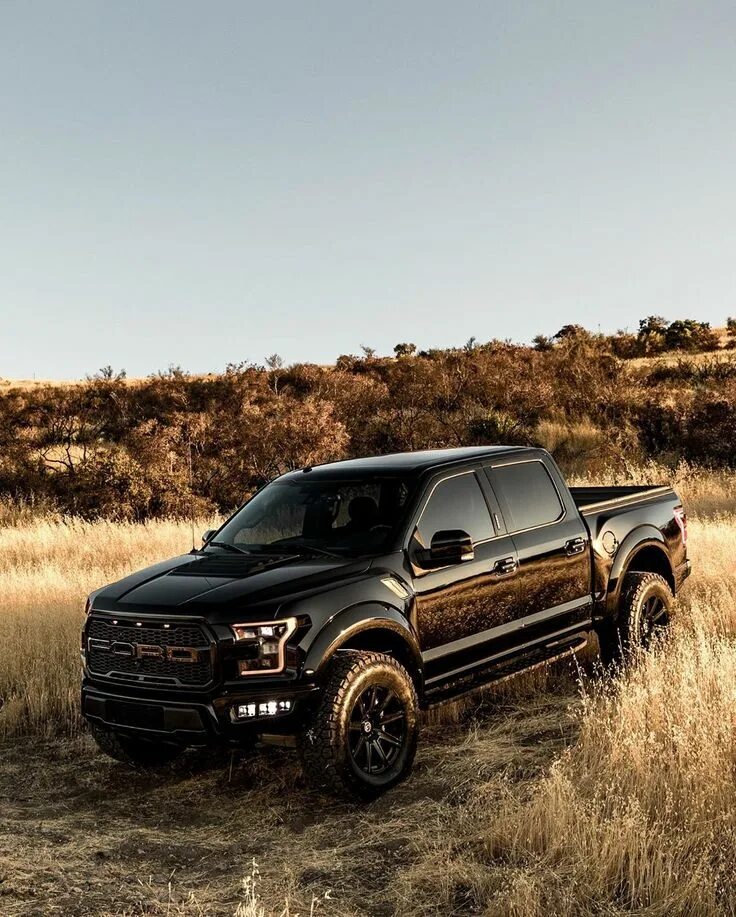 Шикарный пикап. Ford f150 Raptor. Ford f-150 Raptor джип. Форд 150 Раптор. Форд f150 Раптор.