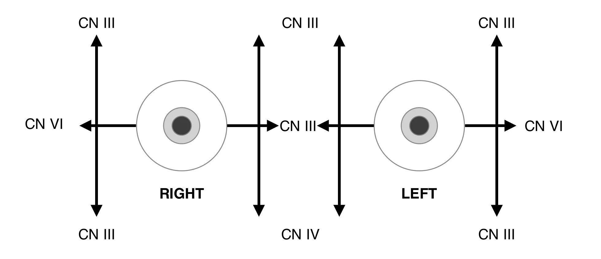 H test 1. Интегратор движения глаз. Cross-Eye тест оптика. Overlap Test Eyes.