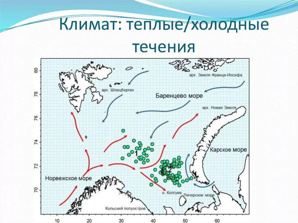 Рисунок течения. Теплое и Холодное течение Австралии. Тёплые и холодные течения Австралии и новой Зеландии. Теплые течения Австралии. Течения Баренцева моря теплые и холодные.