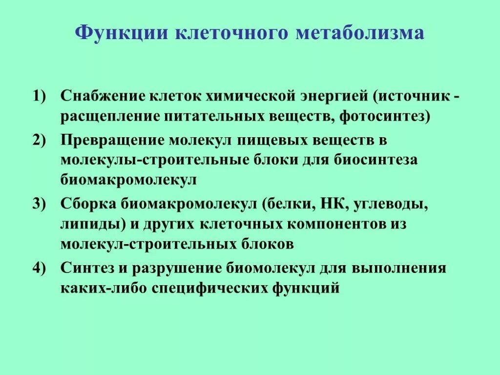 Основные функции обмена веществ. Функции клеточного метаболизма. Функции обмена веществ. Функции клеточного метаболизма физиология.