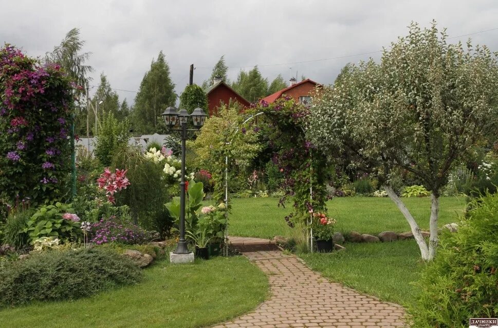 Мой сад. Яблоневый сад на даче планировка. Садовые деревья на даче. Сад на дачном участке с плодовыми деревьями. Плодовый сад в ландшафтном дизайне.