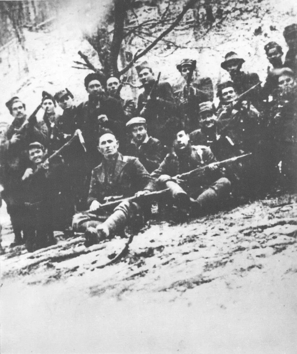 Партизанский отряд Восток 1941 год. Партизанский отряд имени Грабко. Штирийский Партизанский отряд НОАЮ.