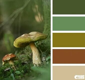 Оттенок mushroom