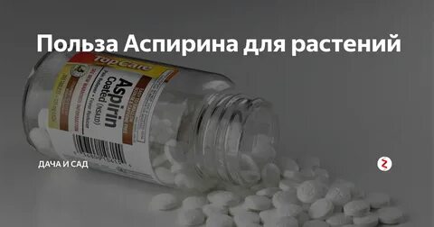 Аспирин польза