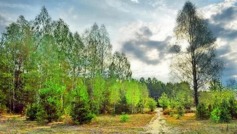 Утро сентябрьское минусинск