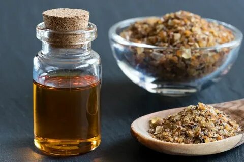 Белки душистой смолой пахнет
