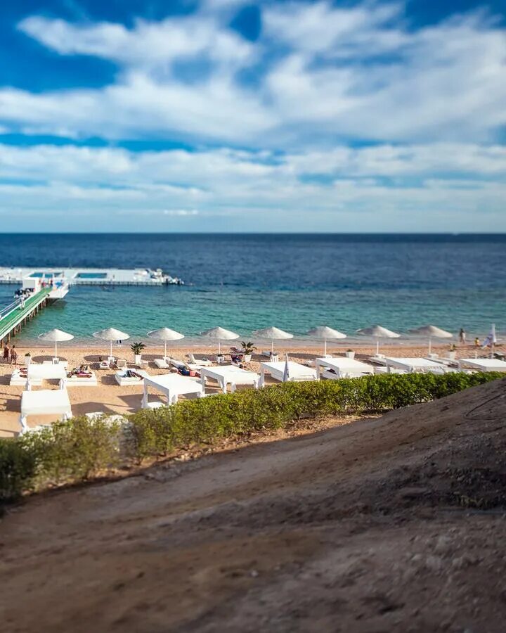 Домина аквамарин пул шарм эль шейх. Отель domina coral bay. domina coral bay sultan pool 5 египет. domina coral bay harem 5 египет шарм-эль-шейх. domina coral bay аквамарин.