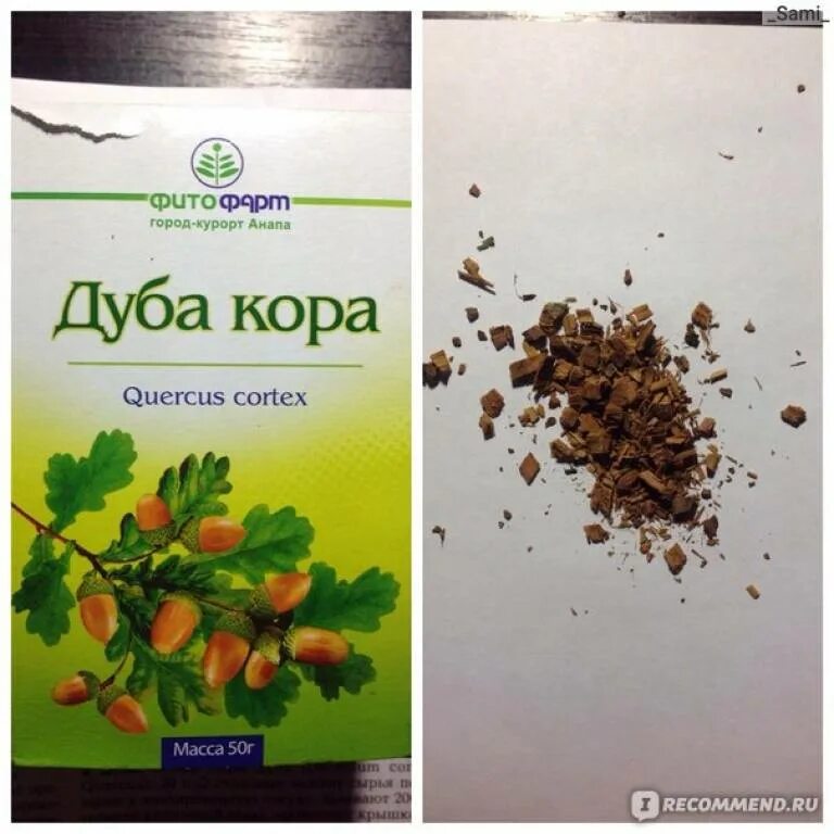 Пьют ли кору дуба