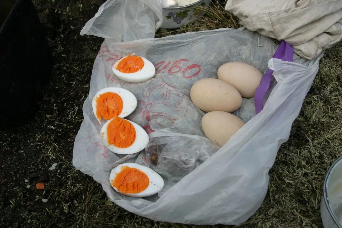 Утиные яйца. Утиные яйца съедобные. Яйца уток. Утиное и куриное яйцо.