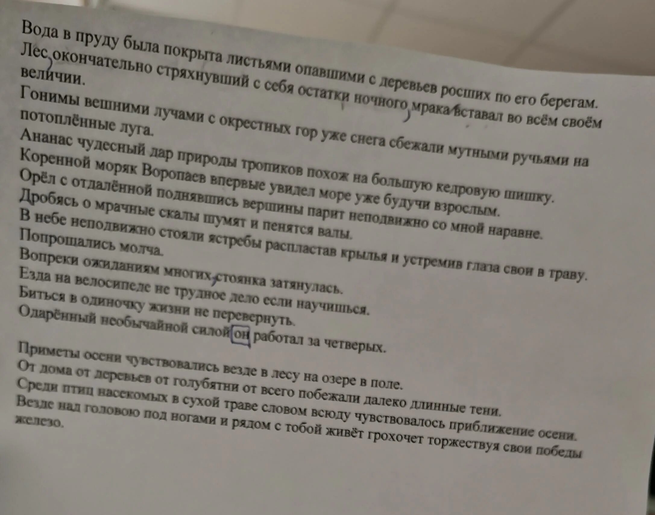 Разбор предложения лес стряхнул остатки ночного мрака. Лес окончательно стряхнувший с себя. лес окончательно стряхнувший с себя остатки ночного мрака. лес окончательно стряхнувший с себя остатки ночного мрака диктант. лес стряхнул.
