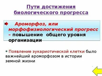Каковы сущностные признаки культуры