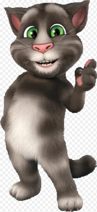 Говорящий кот 5. Кот том. котик том. talking tom на белом фоне. talking tom без фона.