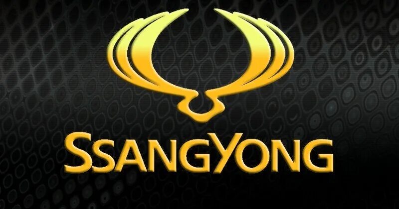 Значок саньенг. SSANGYONG лого. SSANGYONG надпись. Санг Йонг значок. Саньёнг эмблема.