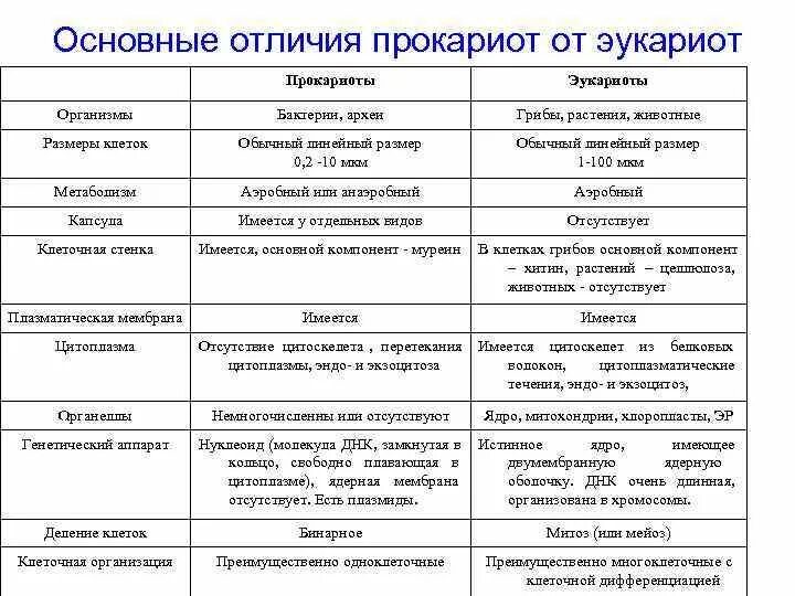 Прокариоты основной признак. Различия эукариотических и прокариотических клеток. Общая характеристика и отличия прокариот и эукариот. Основные отличия клетки эукариот и прокариот таблица. Различие клеток прокариот и эукариот таблица.