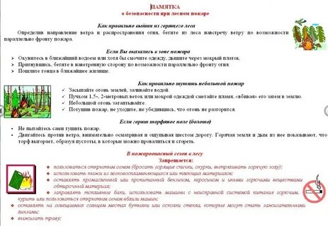 Памятка правила в лесу