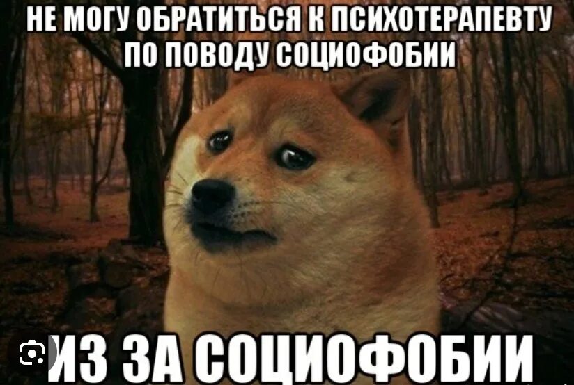 Социофобка