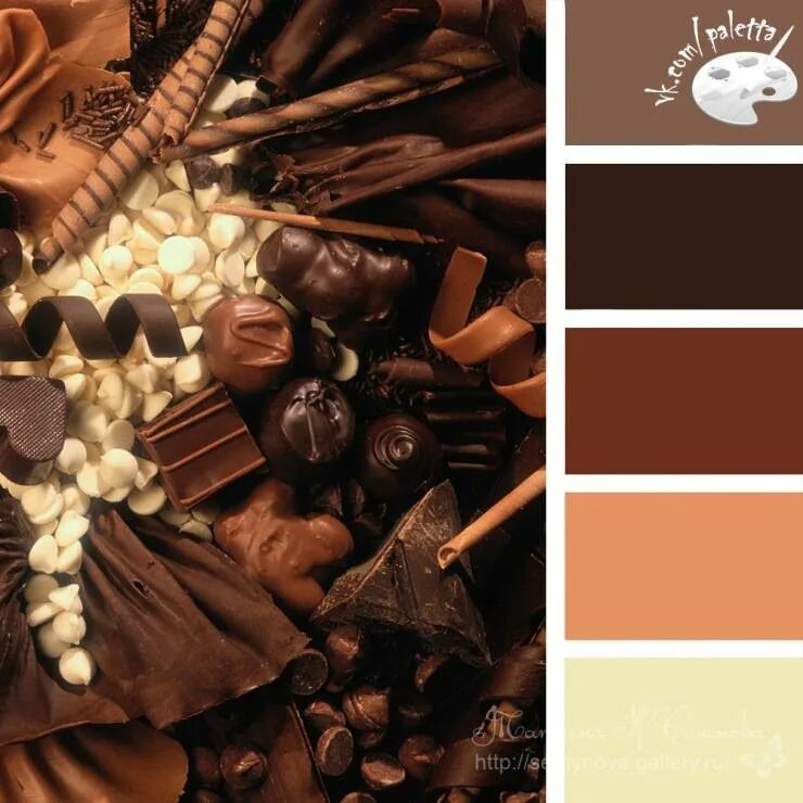 Цветы сочетание. Оболочка зерна кофе. Коричневая палитра. Коричневая тема. Коричневый цвет.