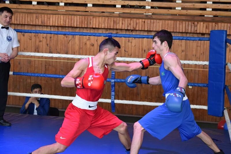 Бокс костанай. Костанайские боксеры чемпионы.