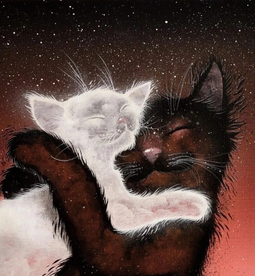 Кот должен быть. У каждого кота должна быть своя киса. у каждого кота должна быть своя киса любимая. любимая киса. люблю кису.