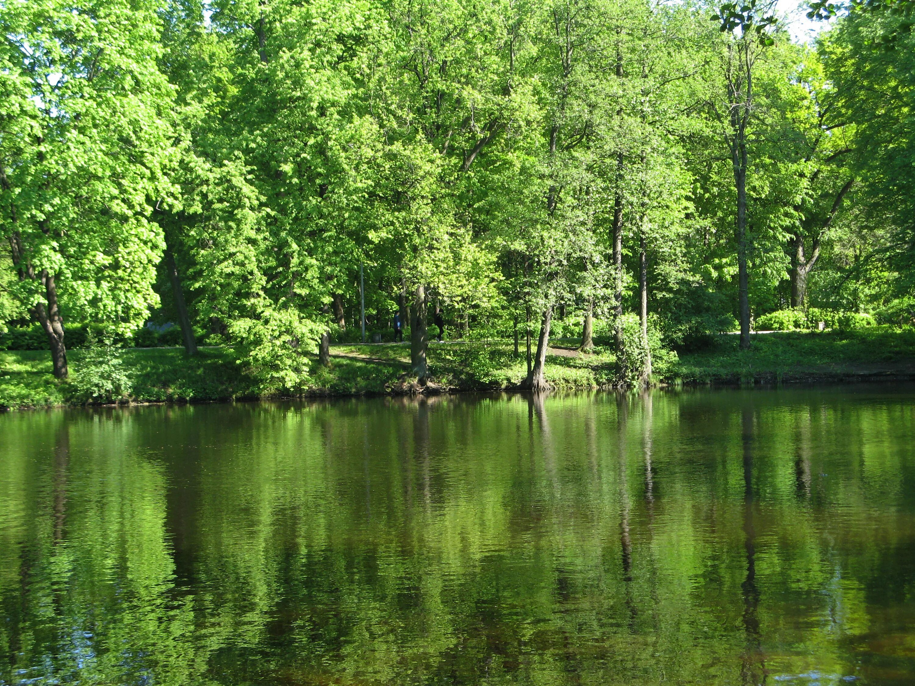 Парк покровское-стрешнево пруды. Саратов соколовый родник. Шатилово орловская область пруд. Елагин пруд ставрополь. Карпиев пруд летний сад.