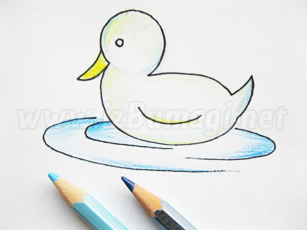 Утки для начинающих. Рисунок утки поэтапно. Канал карандаши краски идеи для уточки. Что можно легко нарисовать уточку пером. Тарелка в форме утки нарисовать поэтапно.