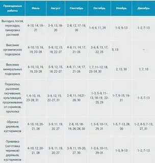 Календарь пересадки комнатных растений январь 2024 лунный