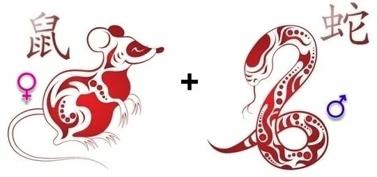 Змея и крыса совместимость. Знаки зодиака совместимость по годам. Векторные отношения. Тигр и крыса совместимость в любовных. Змея и крыса совместимость.